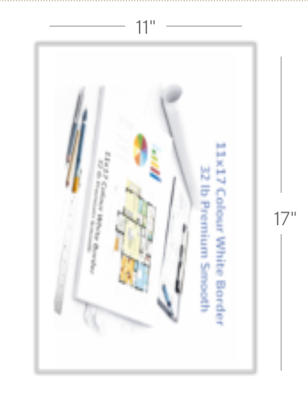 11x17 Poster (White Border)