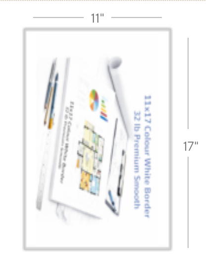 11x17 Poster (White Border)